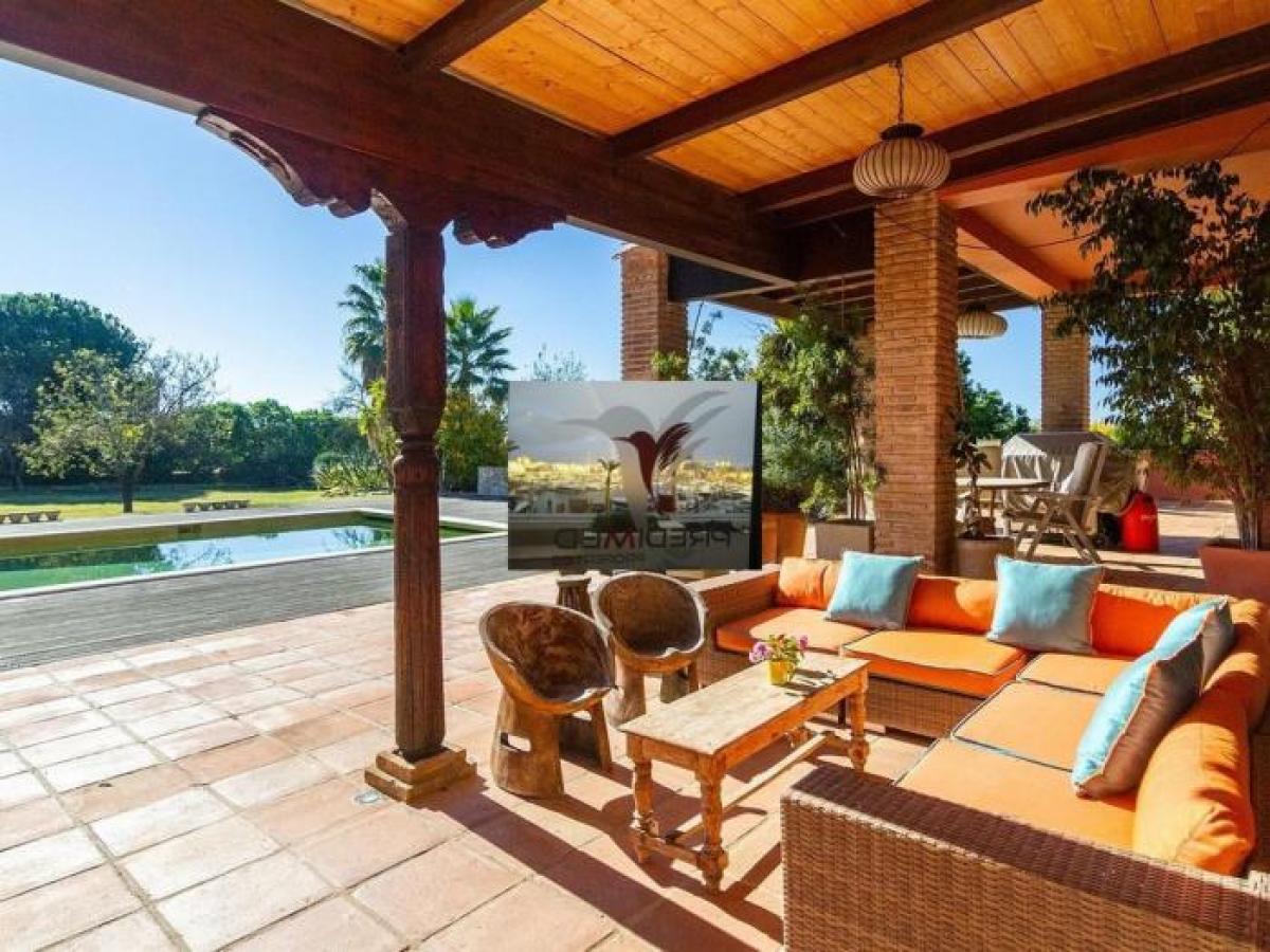 5 bedrooms House in Loule, Portugal No. 73