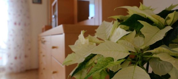 3 Schlafzimmer Wohnung in Bad Mitterndorf, Austria, Nr. 34670 8