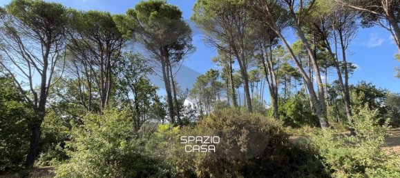 8 bedrooms House in Montecarlo, Italy No. 325604 9