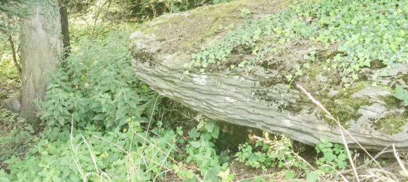 قطعة أرض في Gfohl, Austria رقم 128013 7