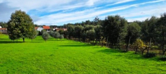 3 غرف نوم منزل في Pedrogao Grande, Portugal رقم 326463 21