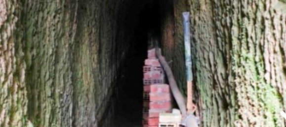 3 غرف نوم منزل في Pedrogao Grande, Portugal رقم 326463 19