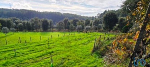 3 غرف نوم منزل في Pedrogao Grande, Portugal رقم 326463 20