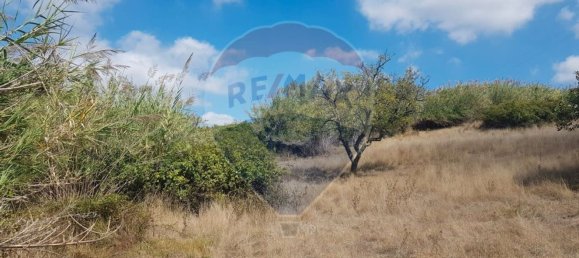 3240m² Land in Mafra, Portugal No. 69679 6