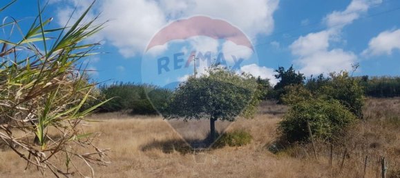 3240m² Land in Mafra, Portugal No. 69679 7