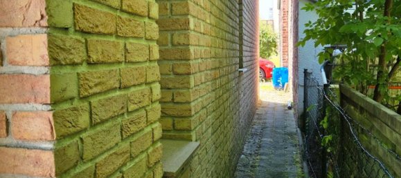 1 chambre Maison à Rhein-Sieg, Germany No. 290566 13