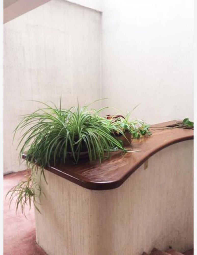 3 غرف نوم منزل في Mexico رقم 212893