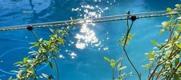 6 rooms House in Hof, Germany No. 213984 7