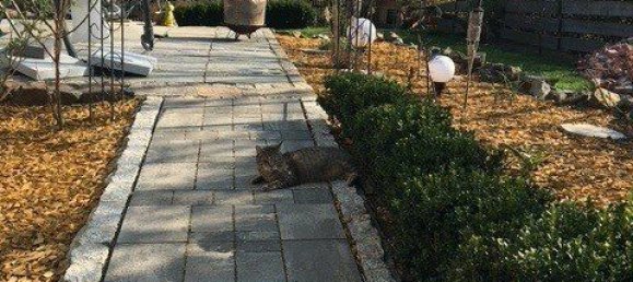 6 rooms House in Hof, Germany No. 213984 10