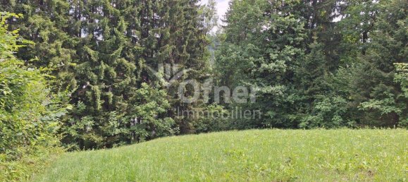 Studio in Voitsberg, Austria No. 135463 25