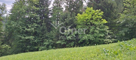 Studio in Voitsberg, Austria No. 135463 26