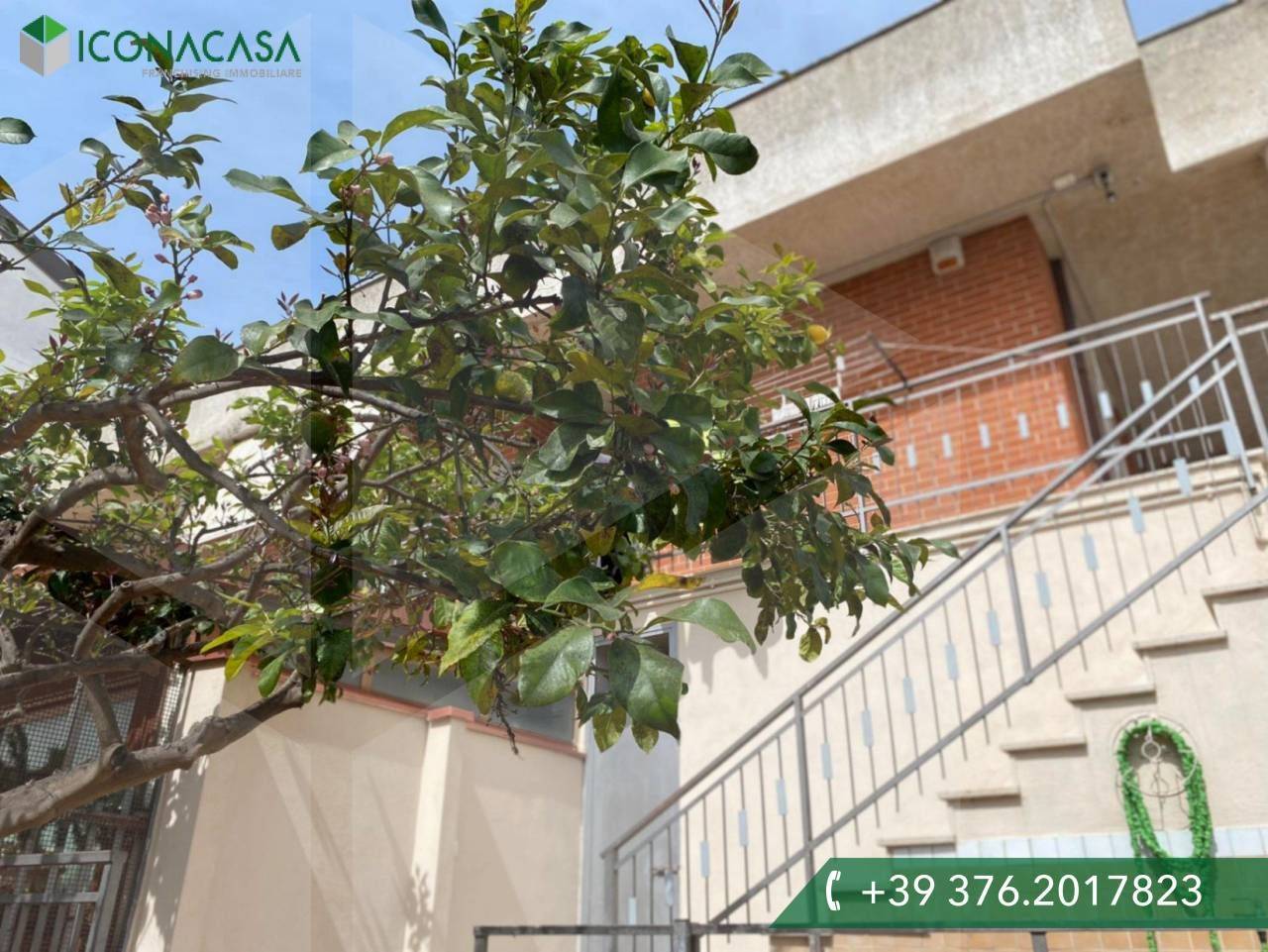 Casa de 3 dormitorios en San Severo, Italy No. 26114