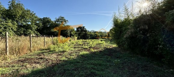 Terrain à Gallicano nel Lazio, Italy 2000m² No. 77580 16