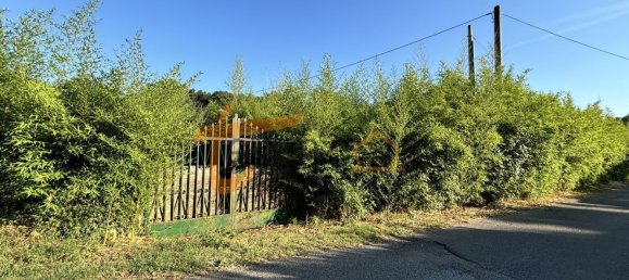 Terrain à Gallicano nel Lazio, Italy 2000m² No. 77580 6