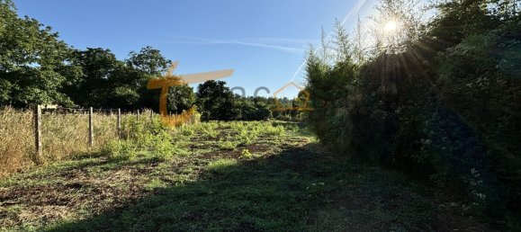 Terrain à Gallicano nel Lazio, Italy 2000m² No. 77580 17