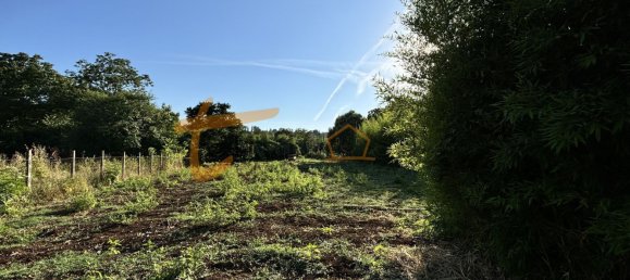 Terrain à Gallicano nel Lazio, Italy 2000m² No. 77580 19