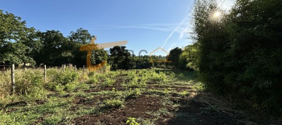 Terrain à Gallicano nel Lazio, Italy 2000m² No. 77580 2