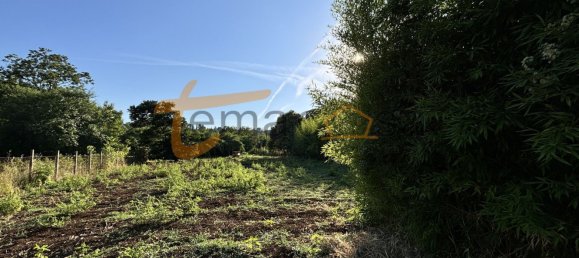 Terrain à Gallicano nel Lazio, Italy 2000m² No. 77580 15