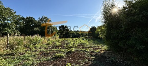 Terrain à Gallicano nel Lazio, Italy 2000m² No. 77580 14