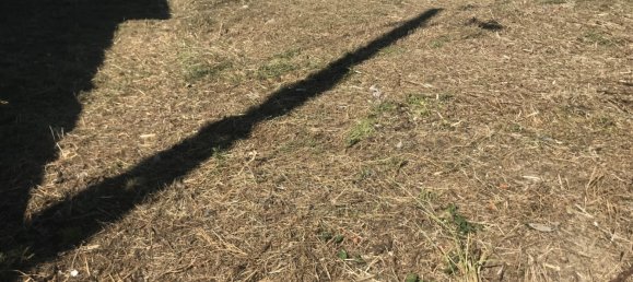  قطعة أرض في Viseu, Portugal رقم 72443 6