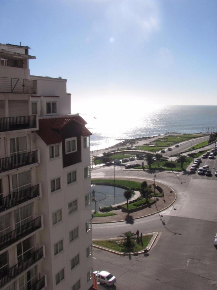 استوديو في Mar del Plata, Argentina رقم 78745