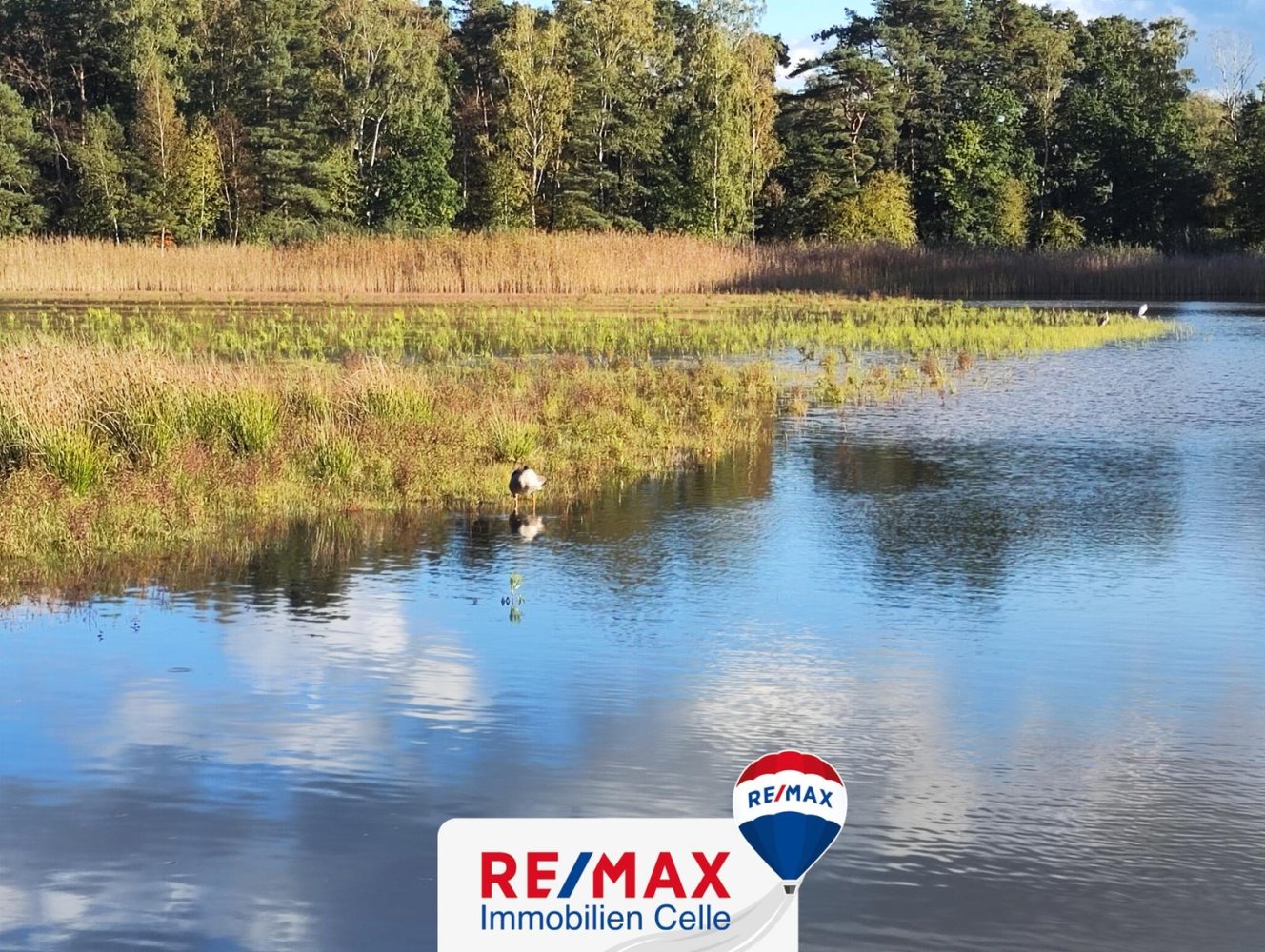  Land in Hanover, Germany No. 154629