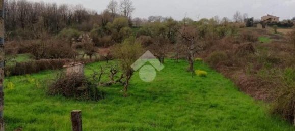 4 rooms House in Olevano Romano, Italy No. 35103 7