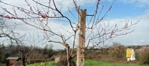 4 rooms House in Olevano Romano, Italy No. 35103 22