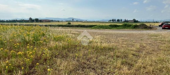 2-Zimmer Lagerhaus in Pontecurone, Italy, Nr. 257666 5