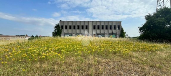 2-Zimmer Lagerhaus in Pontecurone, Italy, Nr. 257666 3