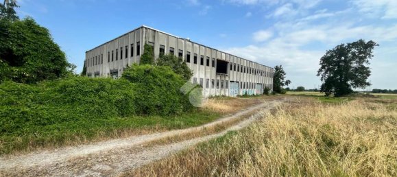 2-Zimmer Lagerhaus in Pontecurone, Italy, Nr. 257666 8