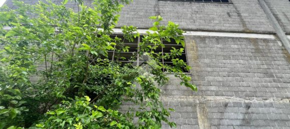 2-Zimmer Lagerhaus in Pontecurone, Italy, Nr. 257666 11