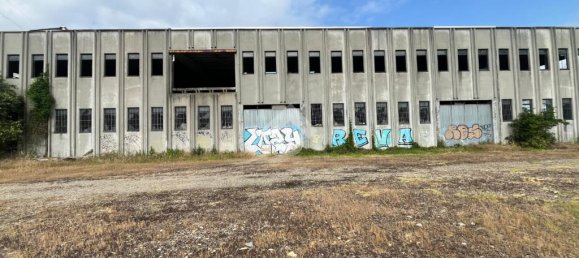 2-Zimmer Lagerhaus in Pontecurone, Italy, Nr. 257666 2