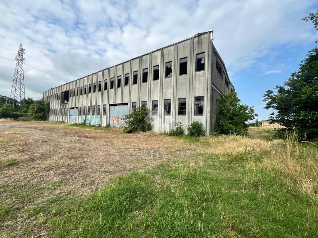 2-Zimmer Lagerhaus in Pontecurone, Italy, Nr. 257666