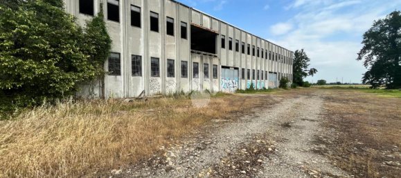 2-Zimmer Lagerhaus in Pontecurone, Italy, Nr. 257666 9