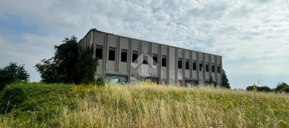 2-Zimmer Lagerhaus in Pontecurone, Italy, Nr. 257666 4