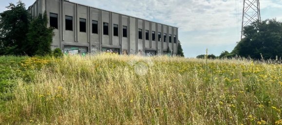 2-Zimmer Lagerhaus in Pontecurone, Italy, Nr. 257666 14