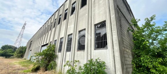 2-Zimmer Lagerhaus in Pontecurone, Italy, Nr. 257666 10