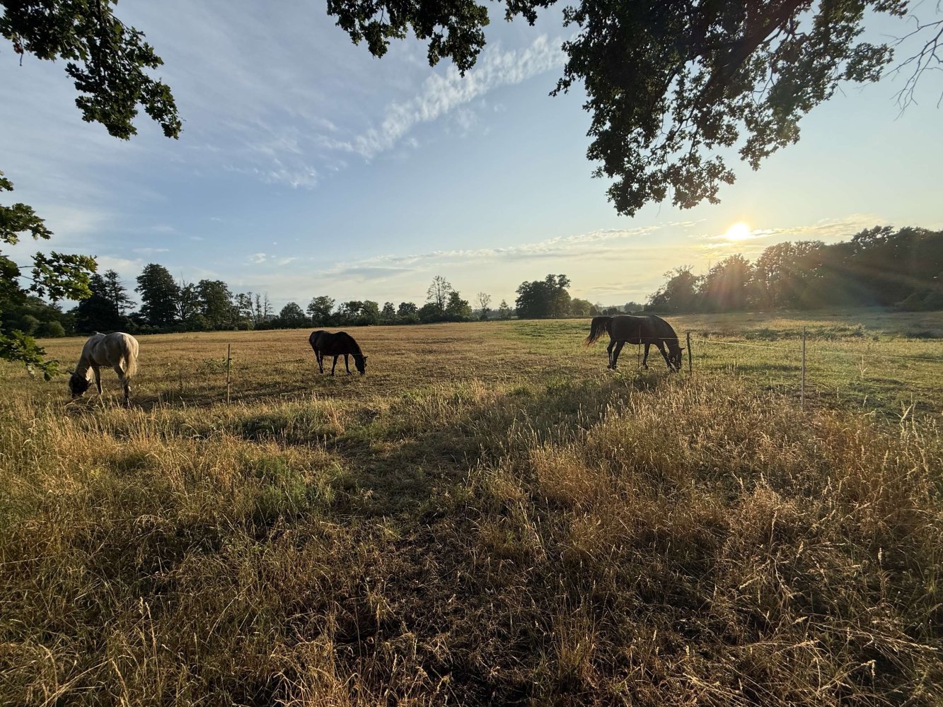 2 غرف نوم منزل في Oberhavel, Germany رقم 258753