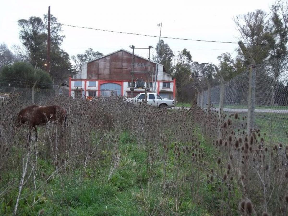  Land in Mar del Plata, Argentina No. 111233