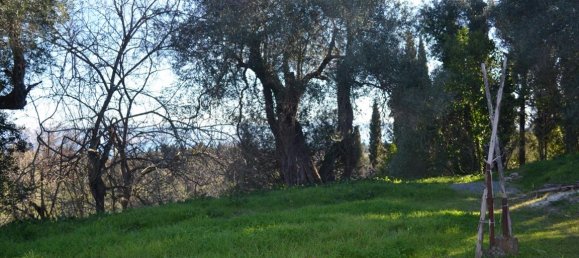 2000m² Hotel in Corfu, Greece No. 5124 5