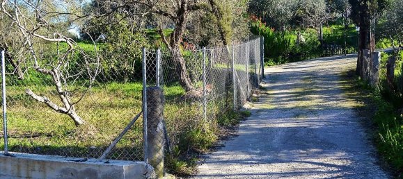 2000m² Hotel in Corfu, Greece No. 5124 4