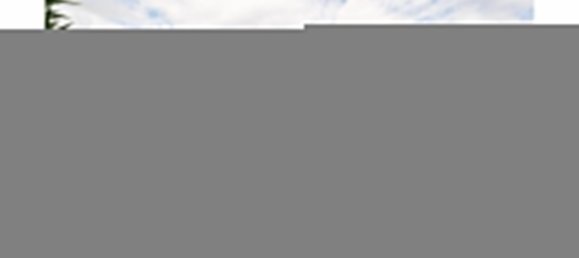 10 bedrooms Villa in Corroios, Portugal No. 95101 16