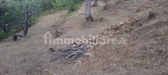 1 bedroom Villa in Cefalù, Italy No. 299264 12