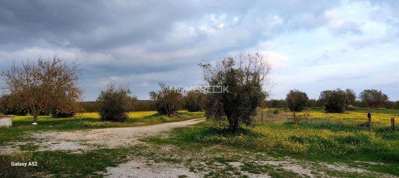 3 Schlafzimmer Haus in Evora, Portugal, Nr. 274247 11