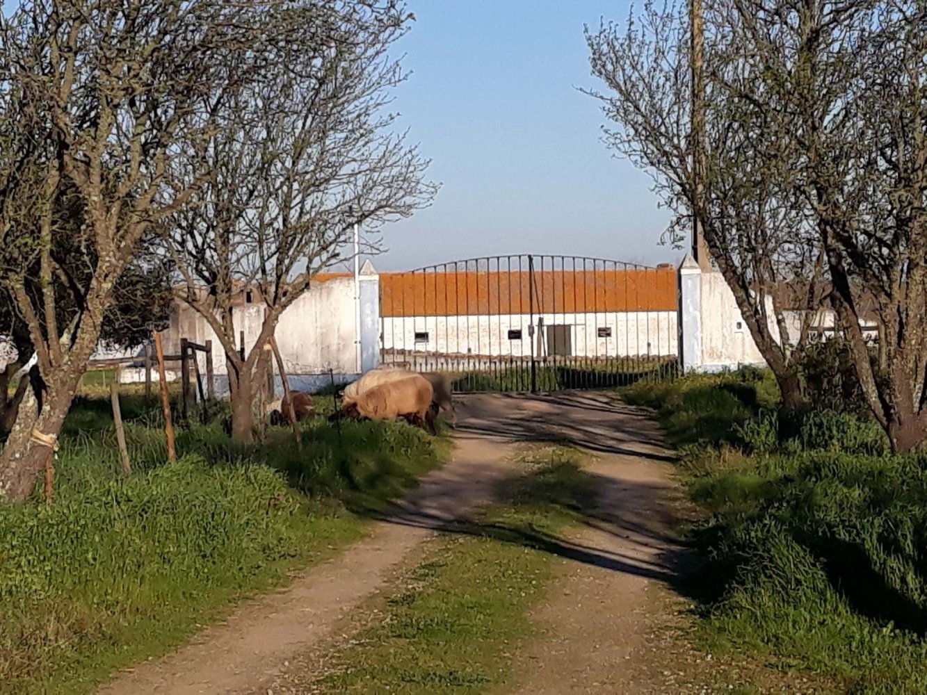 Casa de 3 dormitorios en Evora, Portugal No. 274247