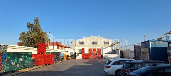 1290m² Warehouse in Bari, Italy No. 314696 4