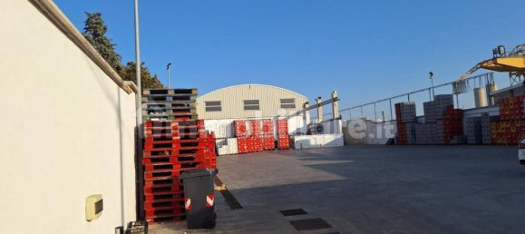 1290m² Warehouse in Bari, Italy No. 314696 3