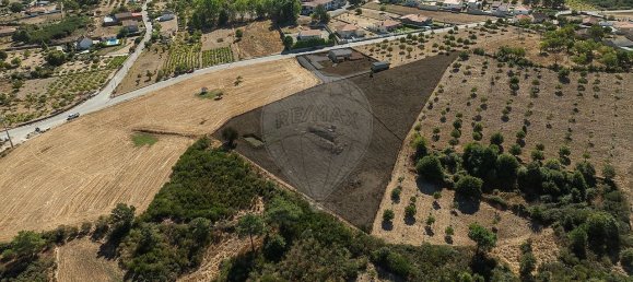 4 bedrooms House in Valpacos, Portugal No. 20529 18