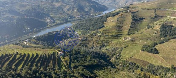 10 bedrooms Castles in Mesao Frio, Portugal No. 136631 8